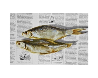 Fish painting on newspaper, roach original art, fish painting, fish art, seafood art, seafood painting, newspaper art