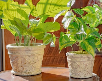 Set of 2 Tuscan Style Round Ceramic Flower Pots Color Option