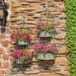 Set of 2 Dual Wall Hanging Iron Basket Planters &quot;Copenhagen 1843&quot; in Frosted Green