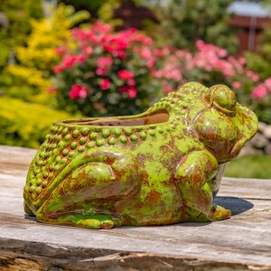 May include: A ceramic frog-shaped planter with a distressed green and brown finish. The planter has a wide opening for plants and is designed with textured details. The frog is sitting on a wooden surface, with a blurred background of flowers and greenery.