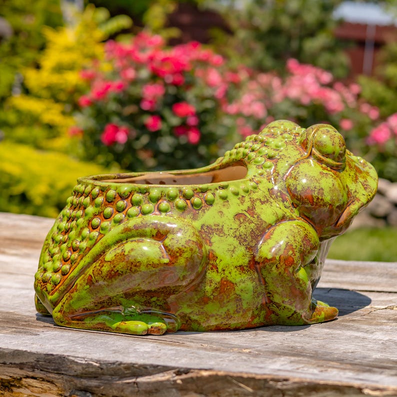 May include: A ceramic frog-shaped planter with a distressed green and brown finish. The planter has a wide opening for plants and is designed with textured details. The frog is sitting on a wooden surface, with a blurred background of flowers and greenery.