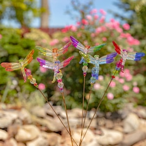 Five Ton Acrylic Dragonfly Pot Stakes in 6 Variations