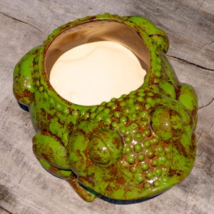 May include: A ceramic frog-shaped planter in shades of green and brown. The planter has a textured surface with a wide opening and a light-colored interior. The frog's eyes and body are detailed, creating a whimsical garden accent.
