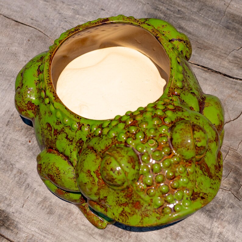 May include: A ceramic frog-shaped planter in shades of green and brown. The planter has a textured surface with a wide opening and a light-colored interior. The frog's eyes and body are detailed, creating a whimsical garden accent.