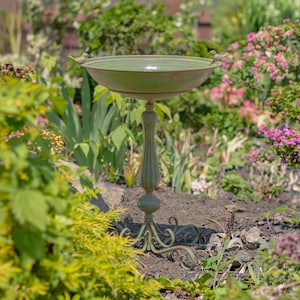 May include: A green metal bird bath with a pedestal base. The bird bath has a shallow bowl with two small bird figurines on the rim. The base has decorative scrollwork. The bird bath is surrounded by lush greenery and flowers.
