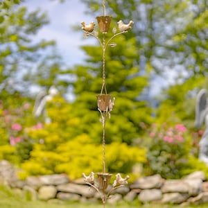 May include: A gold metal rain chain with three cups and four bird accents. The chain is hanging in a garden setting with green foliage and flowers in the background.