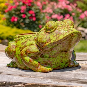 May include: A ceramic frog planter in shades of green and brown. The frog has a textured surface and a wide open mouth, perfect for holding plants. The planter is sitting on a wooden surface, with a blurred background of flowers.