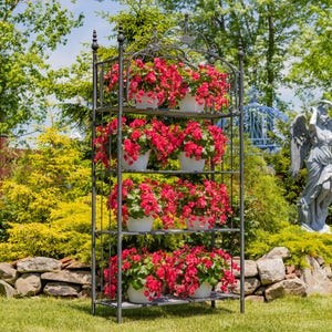 May include: A dark gray metal plant stand with four shelves, each holding white pots overflowing with vibrant red flowers. The stand has an ornate top and is set in a lush garden setting with green foliage and a stone wall.