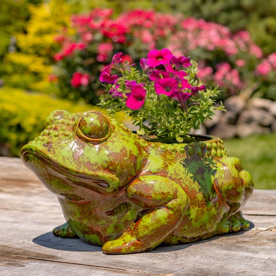17" Hand Painted Ceramic Frog Planter "Rayne"