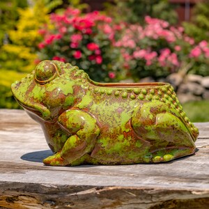 May include: A ceramic frog planter in shades of green and brown, with a textured surface. The frog is in a seated position with its legs tucked. The planter has a wide opening on its back for plants. The background features a wooden surface and a blurred garden.