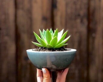 Handcrafted Concrete Bowl