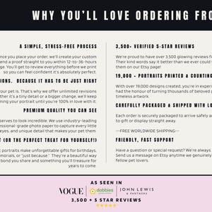 Paint and Tail brand graphic showing 3500 five-star reviews and Vogue feature