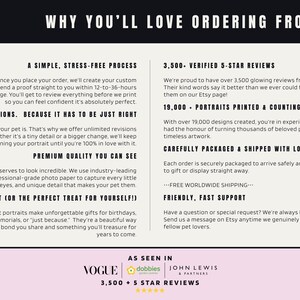 Paint and Tail brand graphic highlighting five-star reviews and Vogue feature