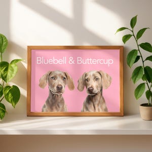 Multiple pet portrait combining two dogs from separate photos into one piece