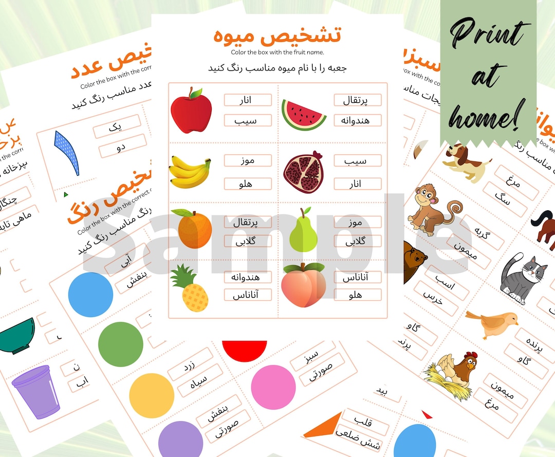Farsi/Persian Worksheet Identifying names Etsy.de