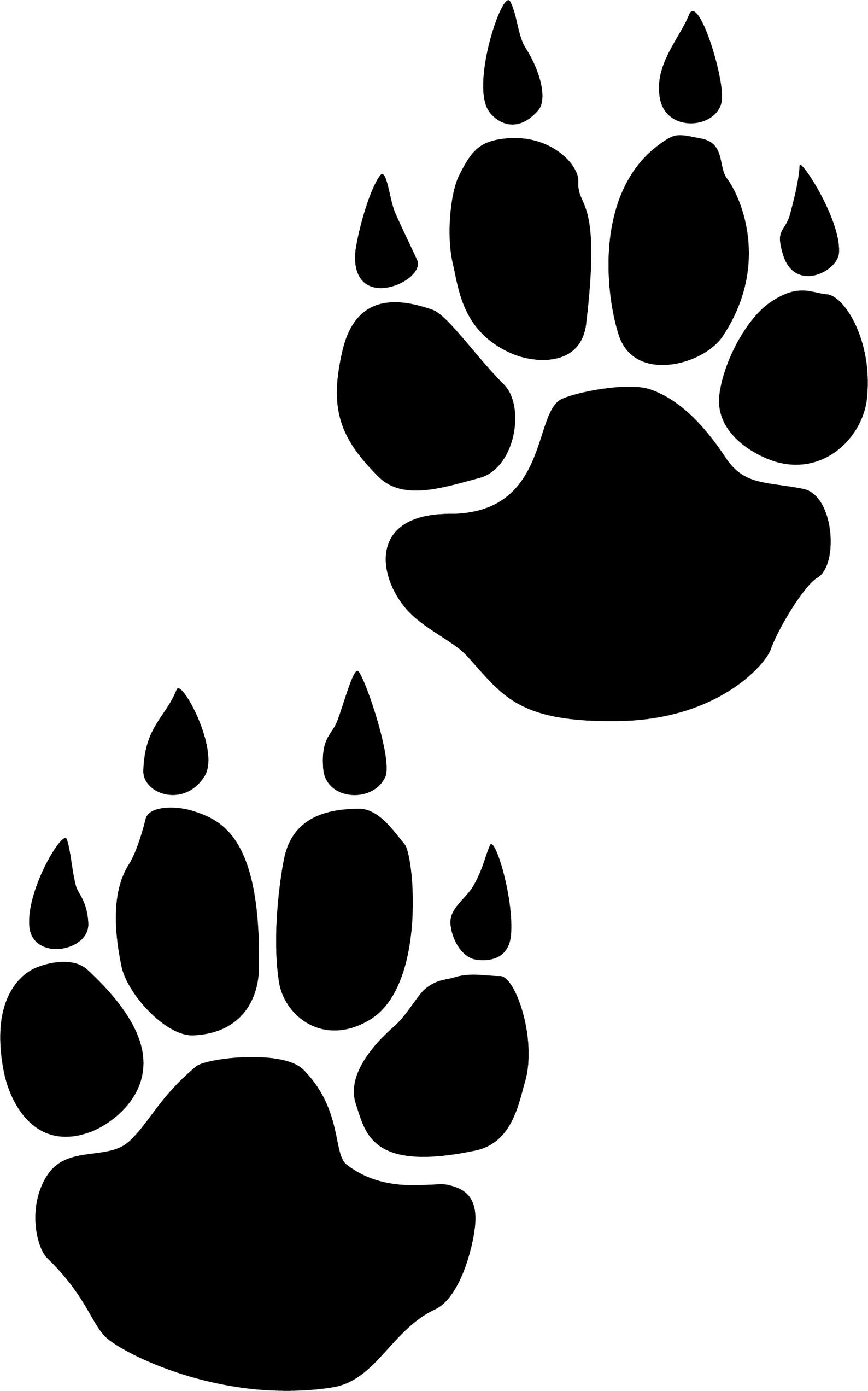 75 Original Animal Tracks AND Sounds. Stencil Art Tracks Etsy