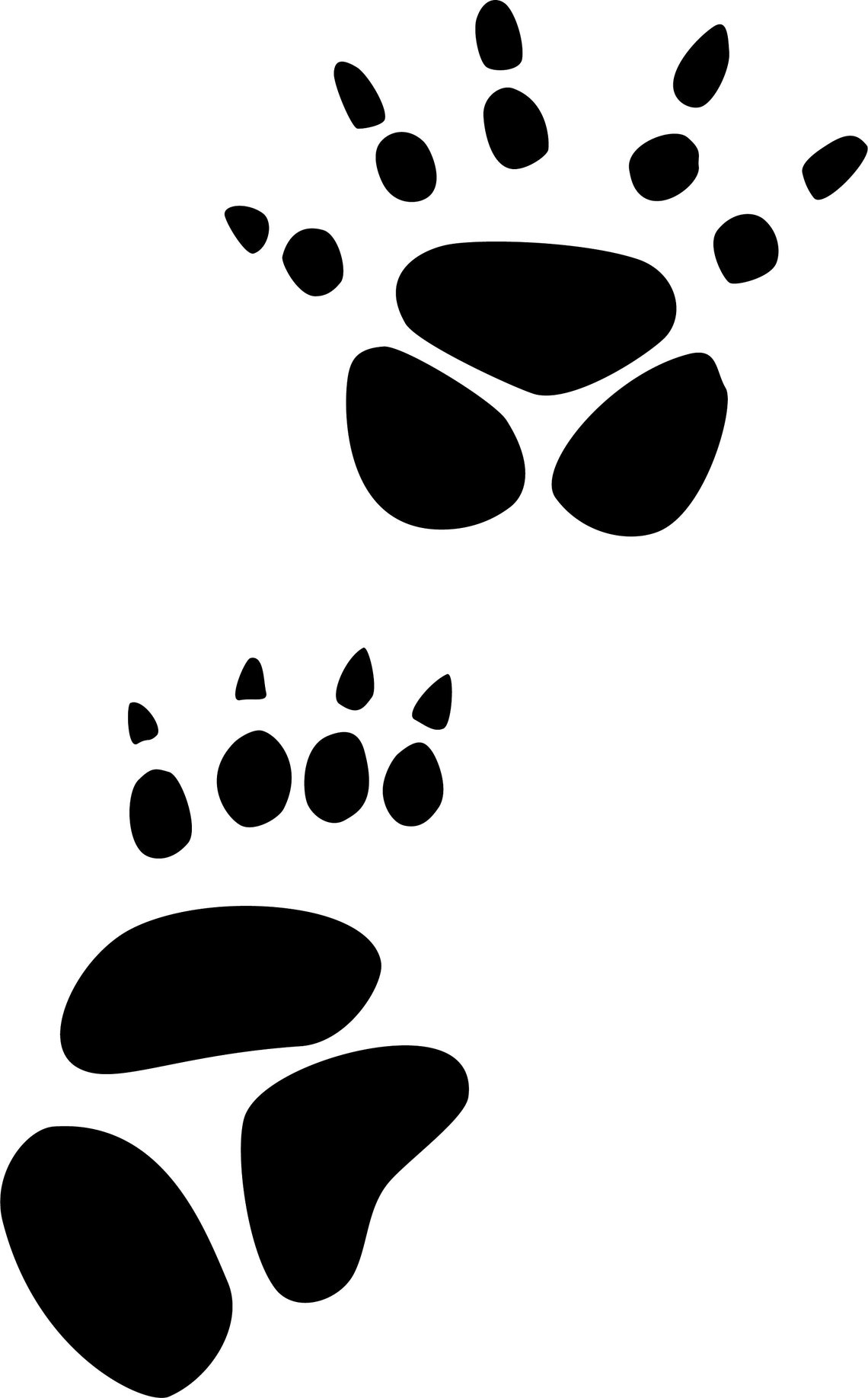75 Original Animal Tracks AND Sounds. Stencil Art Tracks Etsy