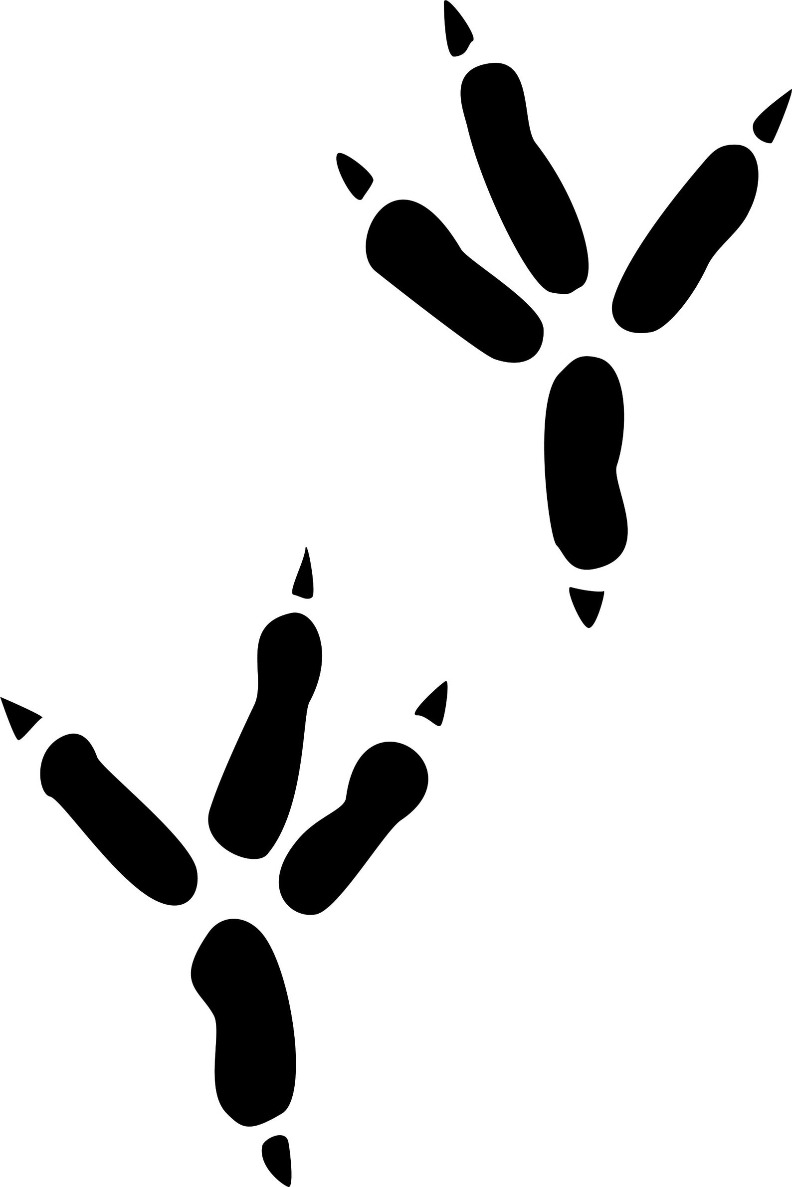 75 Original Animal Tracks AND Sounds. Stencil Art Tracks | Etsy