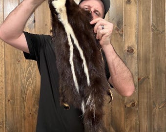 Soft Tanned Skunk Pelt Animal Fur Taxidermy Oddity Man Cave Cabin Decor