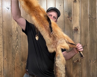 Large Soft Tanned Red Fox Pelt Animal Fur Taxidermy Oddity Man Cave Cabin Decor