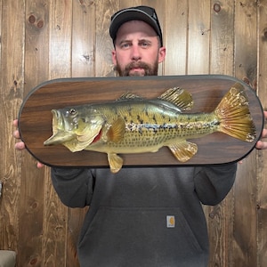 May include: A mounted largemouth bass on a dark wood plaque. The fish is detailed with realistic coloring, including shades of green, yellow, and brown. The plaque has a dark border and a natural wood grain finish, suitable for a rustic decor theme.