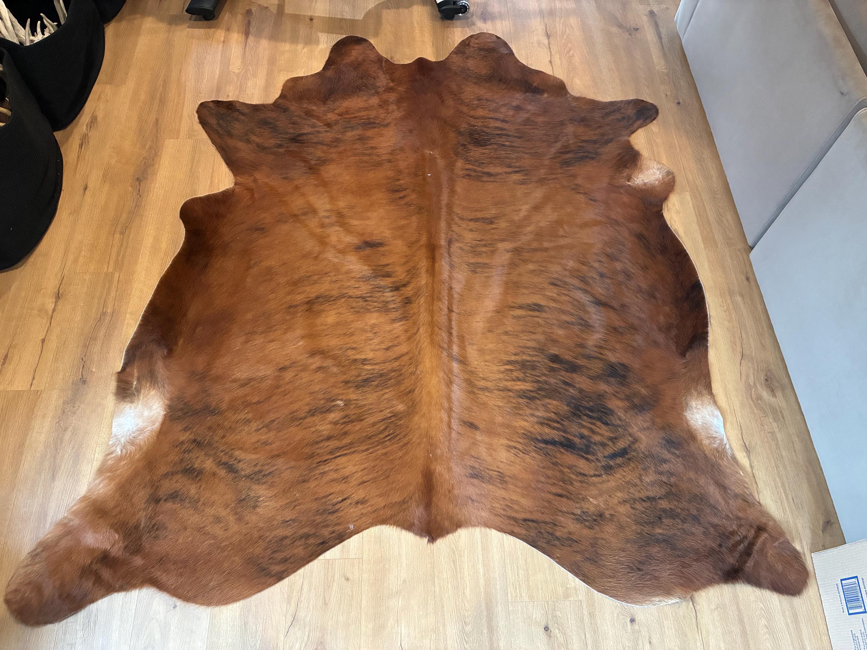 Huge Brazilian Cow Hide Rug Taxidermy Mount Man Cave Cabin Western ...