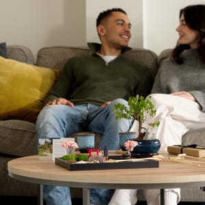 The Zen garden kit arranged in a lounge, creating a peaceful scene that evokes a sense of calm and focus—perfect for meditation or mindfulness moments.