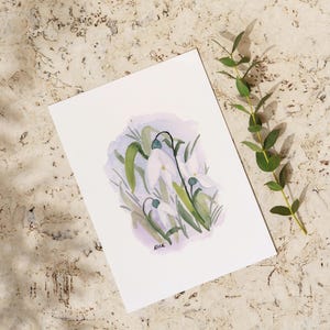 Carte de voeux: Perce-neige
