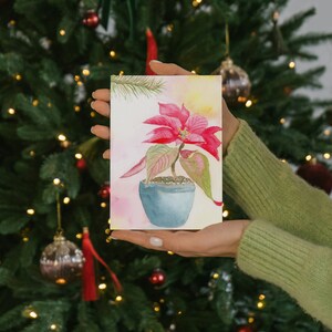 Poinsettia