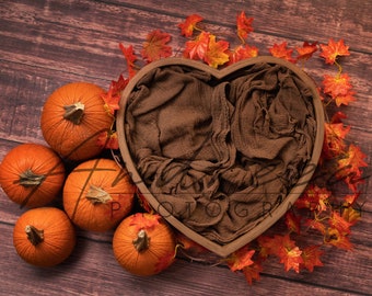 2 photos pack, Newborn digital Backdrop, newborn digital background,fine art photography, fall,pumpkin, Halloween, autumn, for girls or boys