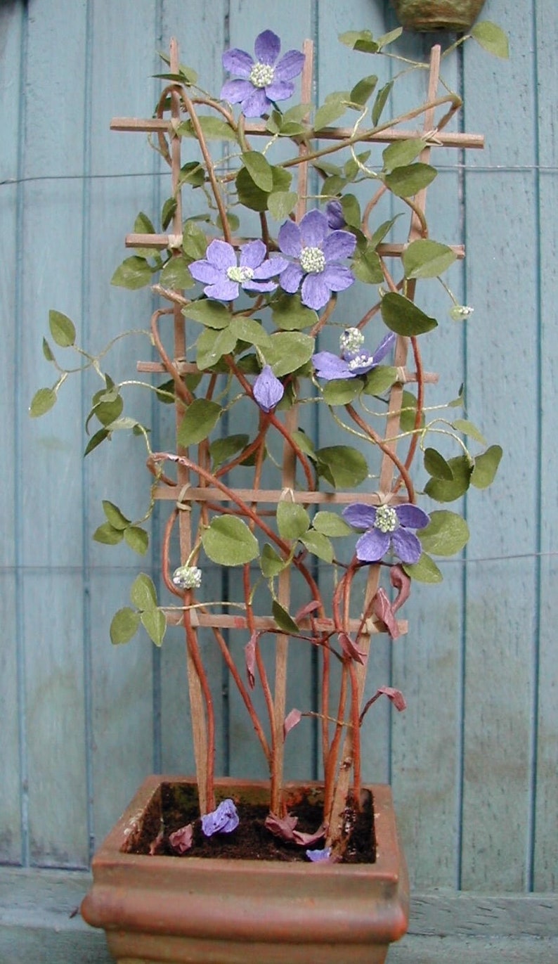 Clematis Flower KIT Klematis Blomster KIT image 1