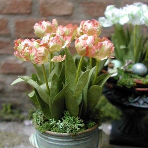 Papageientulpe - Flower KIT / Papegøjetulipan - Blomster KIT - mehrere Farben