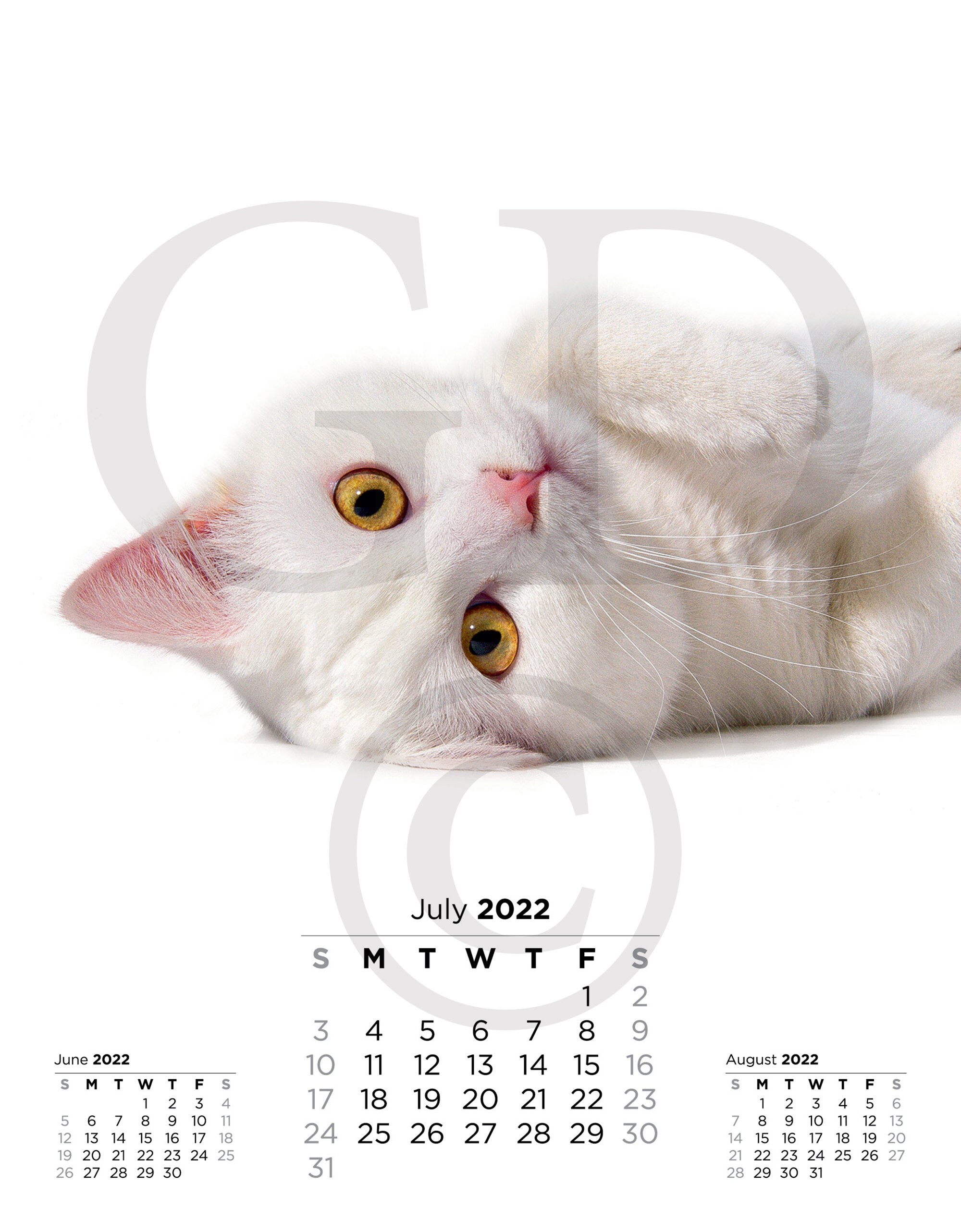 2022 Cat Calendar Desk Wall Calendar digital download cat | Etsy