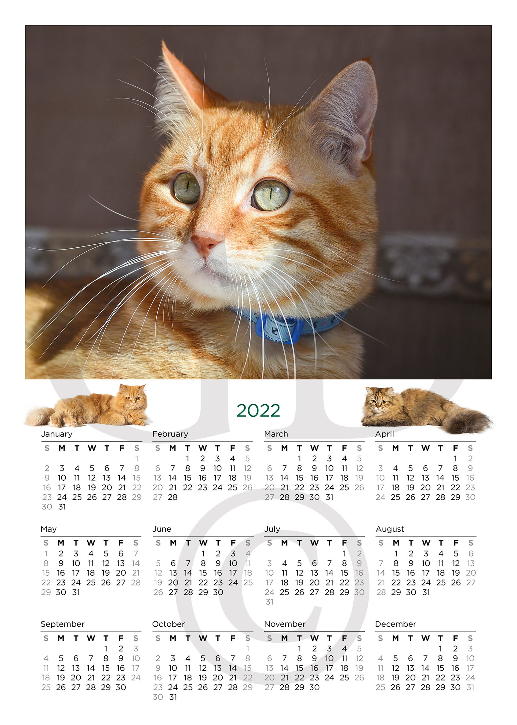 Printable Cat August 2022 Calendar