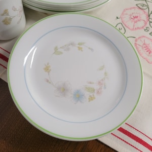 May include: A white ceramic plate with a green rim and a blue and green floral design. The plate is on a white and red striped tablecloth.