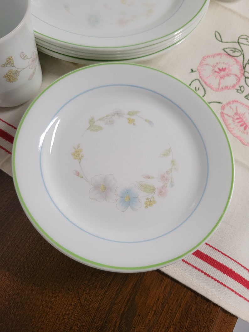 May include: A white ceramic plate with a green rim and a blue and green floral design. The plate is on a white and red striped tablecloth.