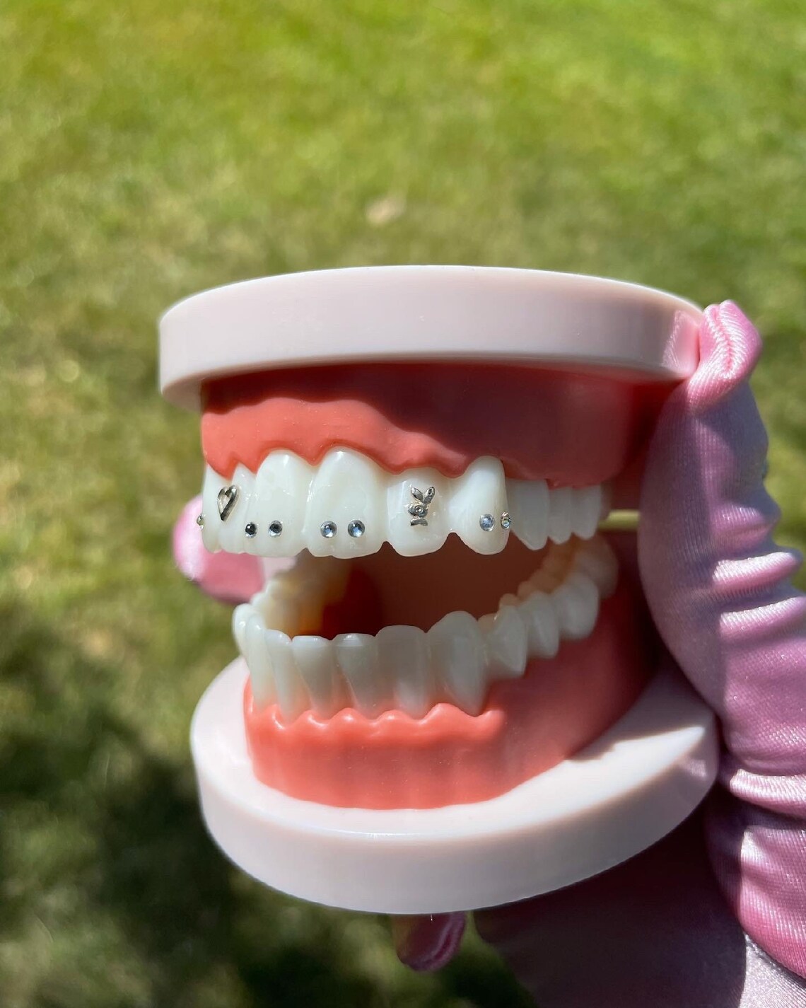 Tooth Gem Vendor List Tooth Gem Business Tooth Gem Etsy