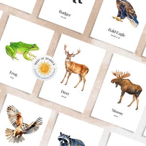 FOREST ANIMALS, 20 Printable Montessori Cards, Flash Cards Nomenclature, Woodland Animals Printable Cards, Preschool Homeschool Flashcards