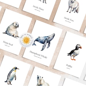 ARCTIC ANIMALS, 20 Printable Arctic Animal Montessori Cards, Arctic Animal, Pre-School Homeschool Cards, Teaching Material, Instant Download