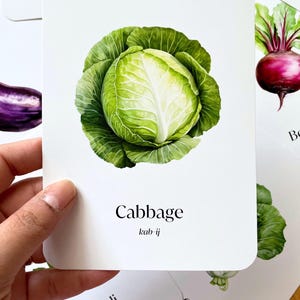 40 fichas didácticas Montessori de verduras, fichas didácticas para preescolar, fichas didácticas Montessori, fichas didácticas impresas de cuarenta verduras, fichas didácticas de alimentos