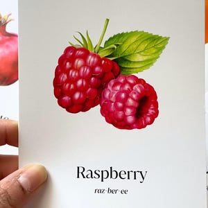 25 tarjetas didácticas Montessori sobre frutas, tarjetas didácticas Montessori sobre frutas para preescolar, tarjetas didácticas Montessori para educación, tarjetas didácticas Montessori sobre frutas impresas, aprendizaje para niños