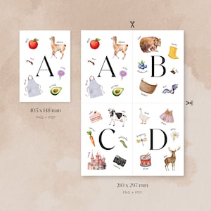 May include: A set of four alphabet flashcards featuring watercolor illustrations of various objects. Each card features a letter of the alphabet, A, B, C, and D, and a variety of images that start with that letter. For example, the A card features an apple, an alpaca, an ant, an apron, and an avocado.