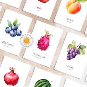 25 cartes mémoire Montessori fruits, cartes mémoire fruits préscolaires, cartes mémoire éducatives Montessori, cartes mémoire imprimables, téléchargement immédiat