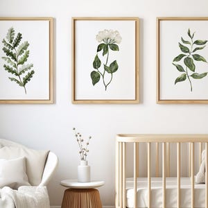 Botanical Ditial Prints, Set of 3 Wall Prints, Botanical Wall Art, Floral Wall Art, Natural Green Wall Art, Neutral Digital Download Posters