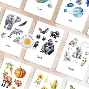 12 Kinder Natur Farbe Karteikarten druckbar, Kinder lernen Farbkarten, Montessori Sprachentwicklung, Farberkennung & Sortierung