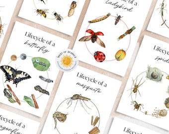 Lifecycle Flashcards: Montessori Homeschool Printable (Digital Download)