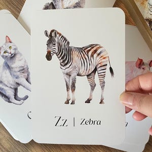 Cartes flash avec alphabet animal, décoration de salle de classe, ressource d'apprentissage préscolaire pour tout-petits, décoration de chambre d'enfant, cartes d'école à la maison