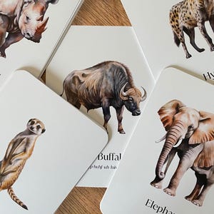 ANIMAUX DE SAFARI, 30 cartes Montessori Animaux de safari, Animal de safari, Cartes d'école maternelle à domicile, Matériel pédagogique, Cartes-éclair pour la maternelle