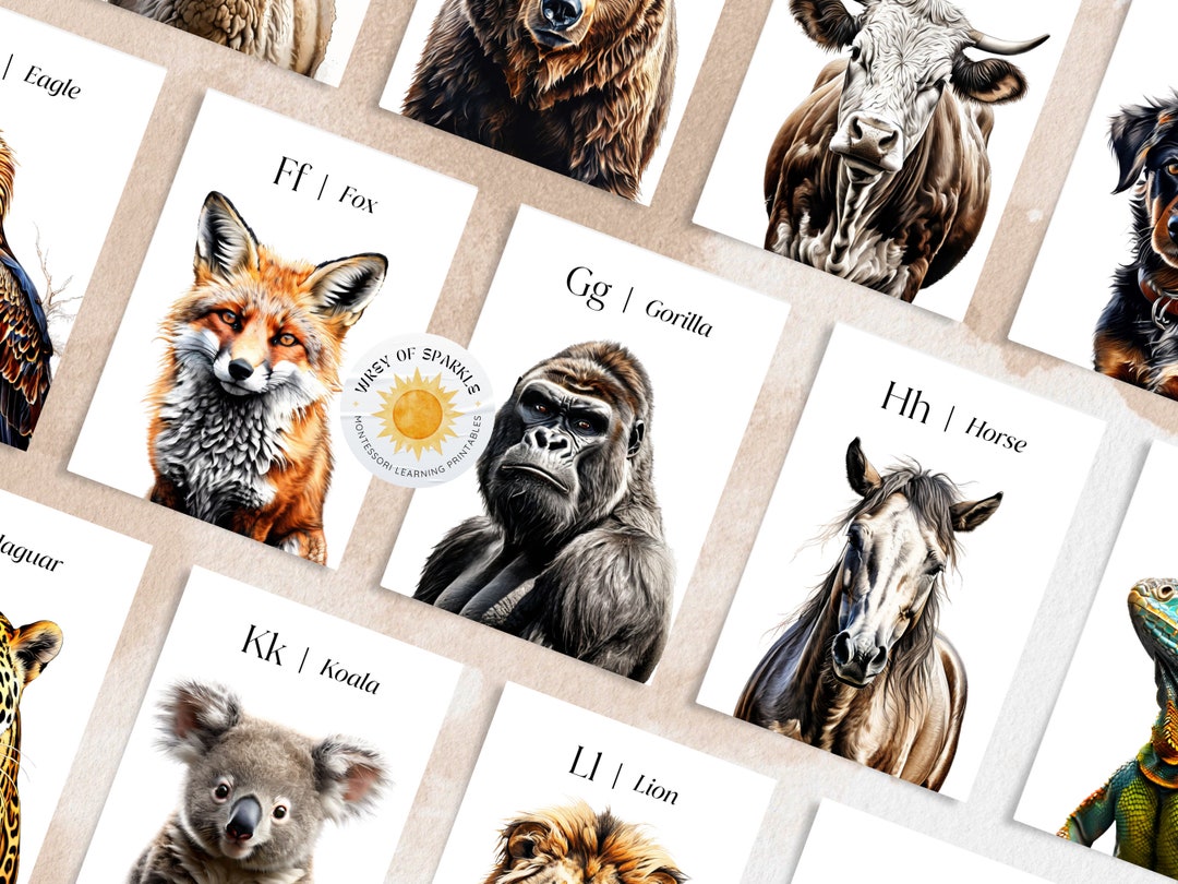 Printable Animal Alphabet Flash Cards: Montessori Early Learning ...