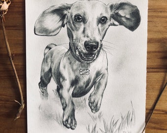 Pet Portrait | Animal Portrait | Drawing | Illustration